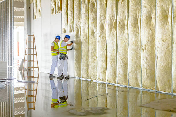 Best Insulation for New Construction  in Eunice, LA